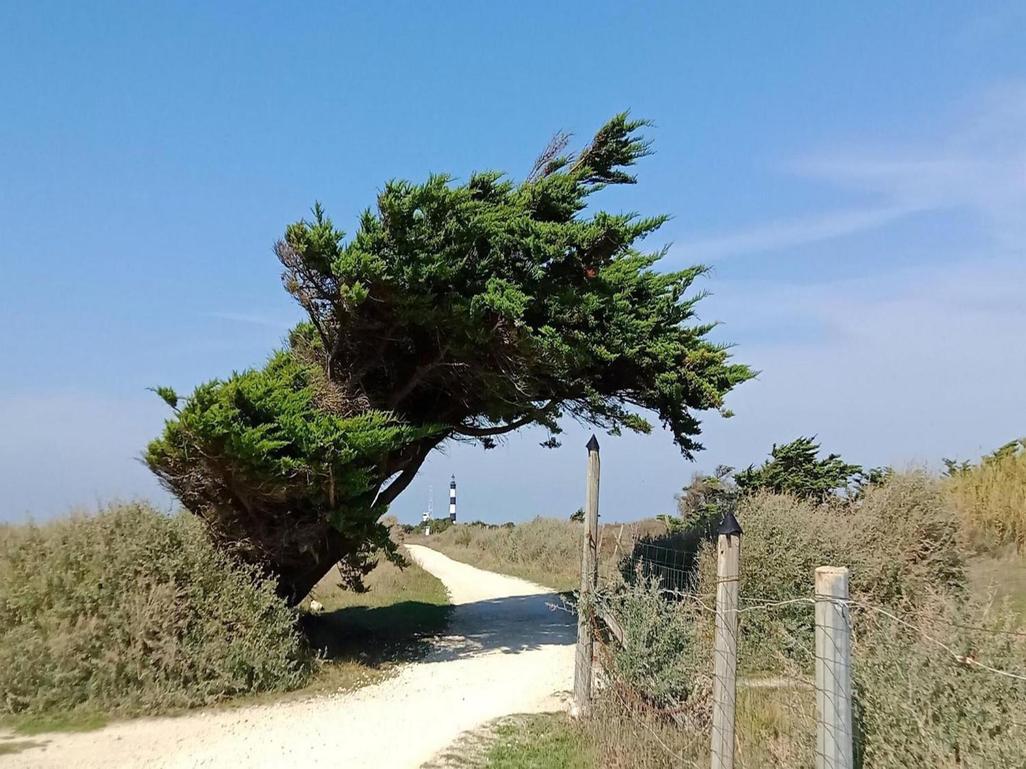 Les Hameaux Des Sables Vignie Saint Georges D Ol Ron Holiday Home Not Detached Exterior foto